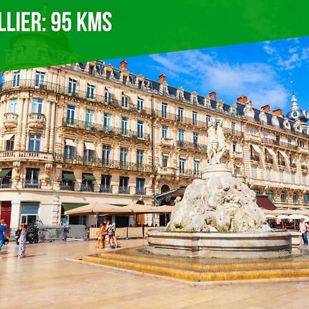 Apartmán La Bulle - Parking Gratuit En Souterrain - 2 Mins Du Palais Des Papes - Clim Ac - Wifi Avignon Exteriér fotografie